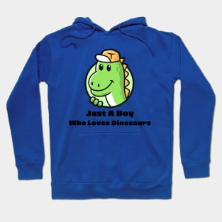 Just  A Boy Who Loves Dinosaur For Kids Hoodie